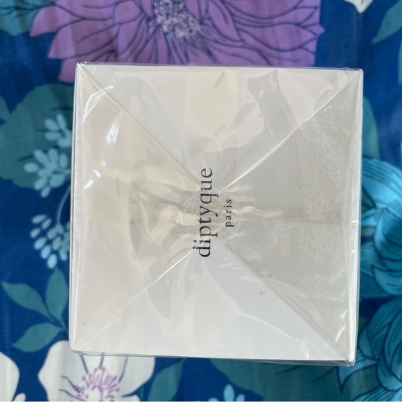 Diptyque Paris Baies New In Box Classic Candle (190g - 6.5oz) - Picture 4 of 4